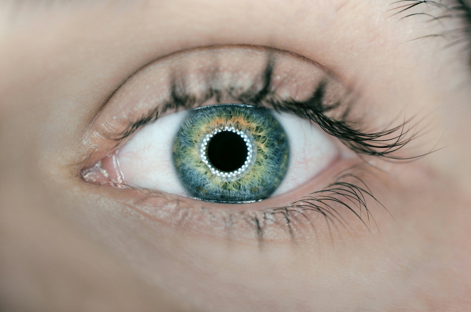 daysoft | Recognising the Signs of Eye Infections As a Contact Lens User
